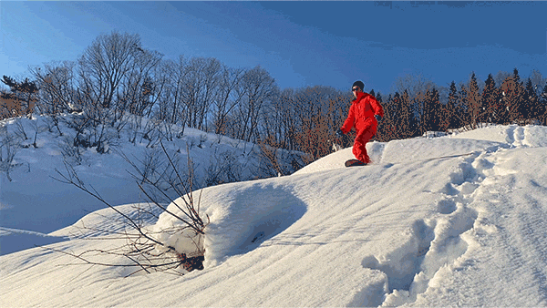 6 gif