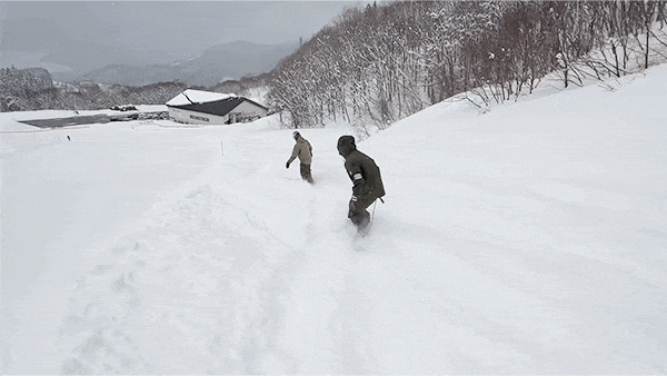 7 gif