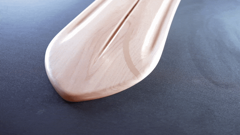 pintail gif